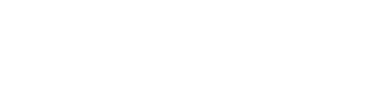 Fidelidade Seguros
